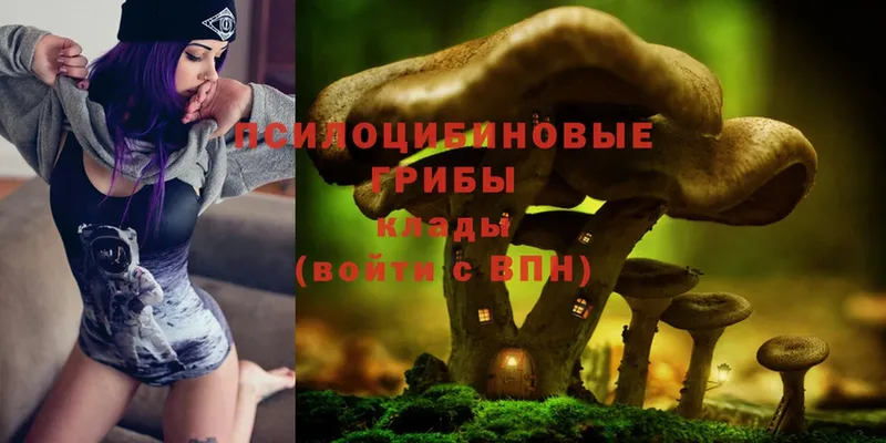 Галлюциногенные грибы MAGIC MUSHROOMS  наркошоп  Холмск 